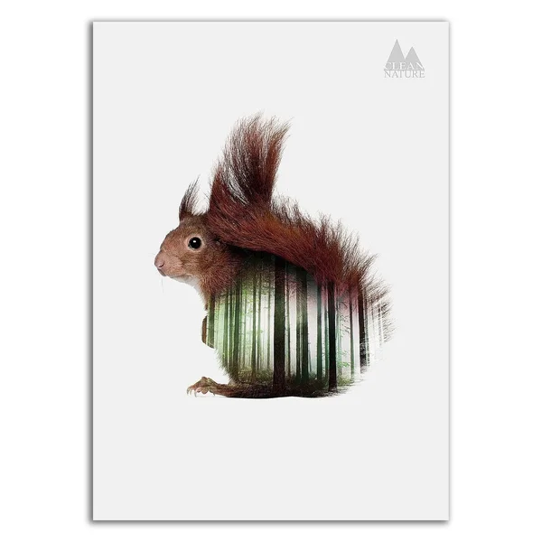 Tangletown Fine Art 26x22 x 18x22 Squirrel by Clean Nature Print on Canvas