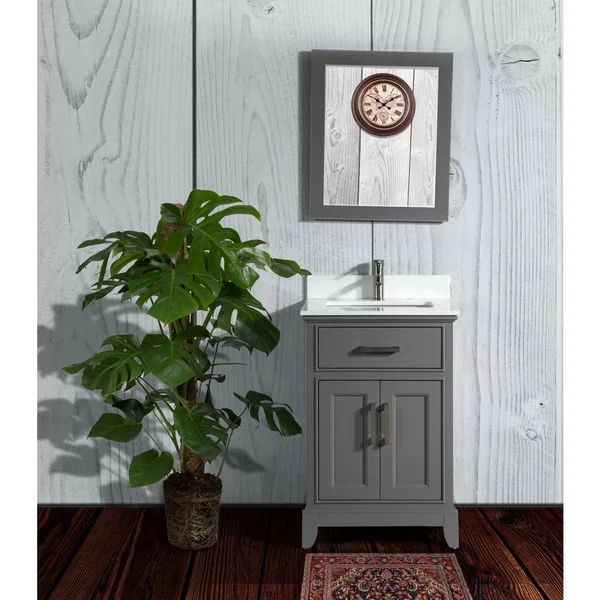 Vanity Art Genoa 24 in. W x 22 in. D x 36 in. H Bath Vanity in Grey with Vanity Top in White with White Basin and Mirror