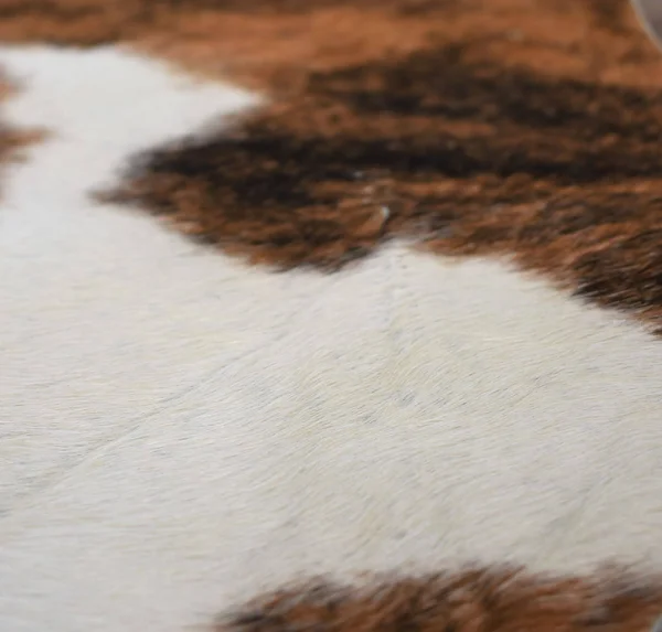 Rugs America Nash Cowhide 6& x 8& Area Rug Multi