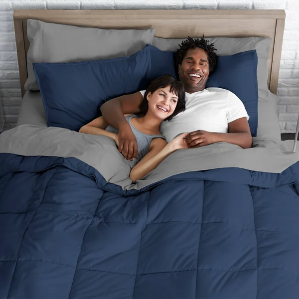 Bare Home Bed-in-a-Bag Down Alternative Comforter & Sheet Set - Comforter Set: Light Grey - Sheet Set: White - Twin XL
