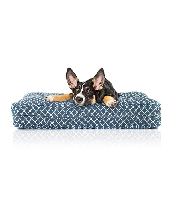 eLuxury Orthopedic Memory Foam Dog Bed - Large, Blue