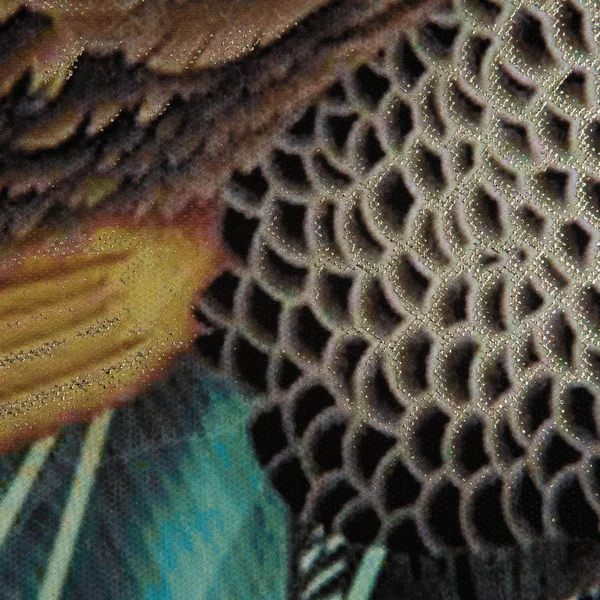 Peacock Poise I - Wall Art, Yosemite Home Decor