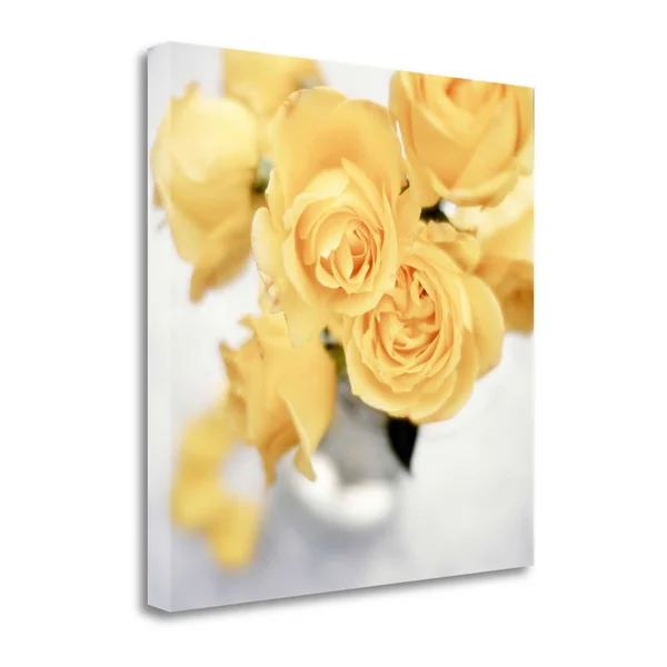 Tangletown Fine Art Floral Color, 21x22 by Alan Blaustein, Giclee Print on Wrap Canvas, 30x22x30x22