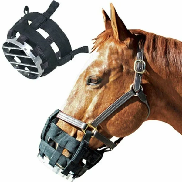 Best Friend Cribbing Muzzle COB