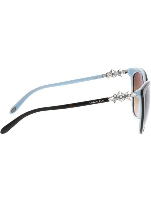 Tiffany & Co. Sunglasses TF4131HB 81343B