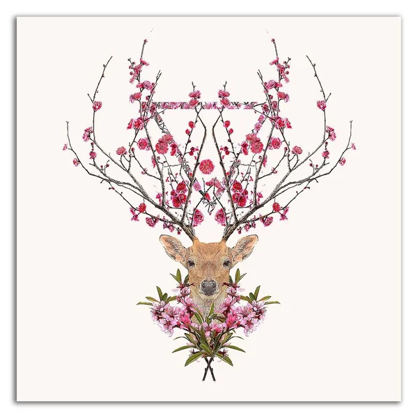 18x22 x 18x22 Spring Deer by Robert Farkas Print on Canvas