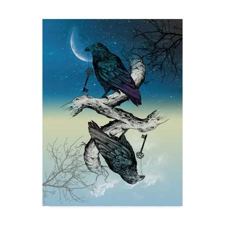Trademark Fine Art 'Raven Night and Day' Canvas Art by Rachel Caldwell, Size: 35 x 47