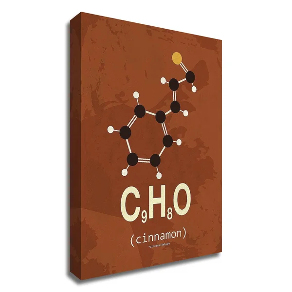 35x22 x 25x22 Molecule Cinnamon by TypeLike Print on Canvas