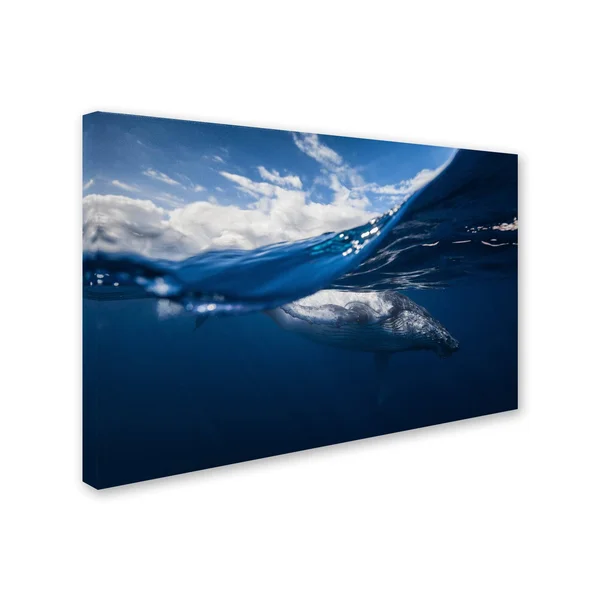 Trademark Art Barathieu Gabriel 'Humpback Whale and The Sky' Canvas Art, ShopLadder