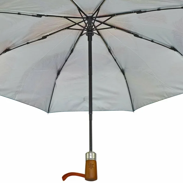 Auto Open/ Close Printed Umbrella - 3100-ECG