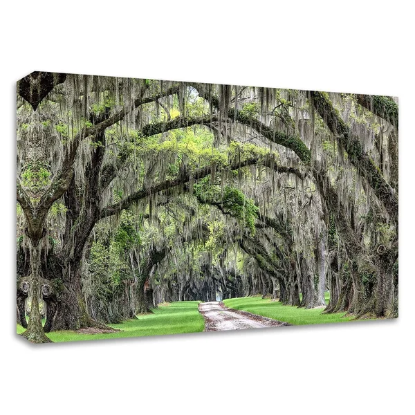 Tangletown Fine Art 14x22 x 21x22 The Old South by Daniel Burt Print on Canvas