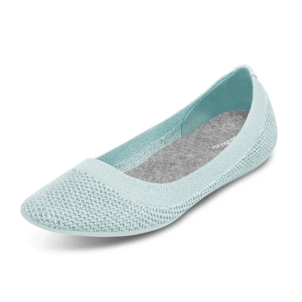 Allbirds Women's Tree Flats, Frost, Size 5