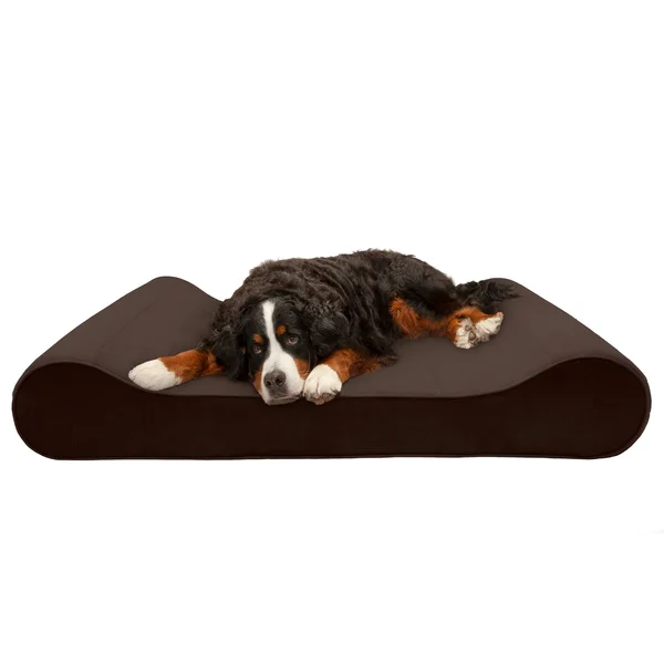 FurHaven Pet Bed, Cooling Gel Microvelvet Luxe Lounger Dog Bed - Giant - Espresso