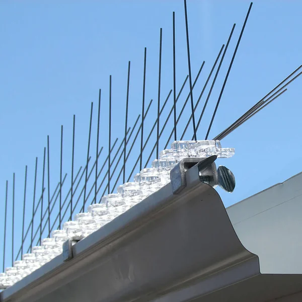 Bird B Gone, Stainless Steel Gutter Bird Spikes, 50 ft