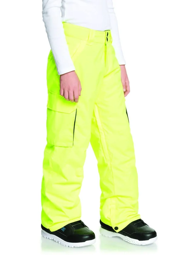 DC Banshee Snowboard Pants