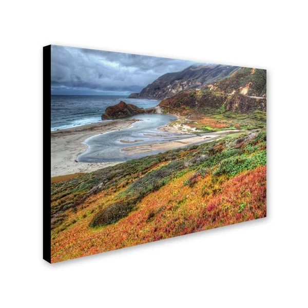 Trademark Global Pierre Leclerc Bigsur California 16 x 24 Canvas Art