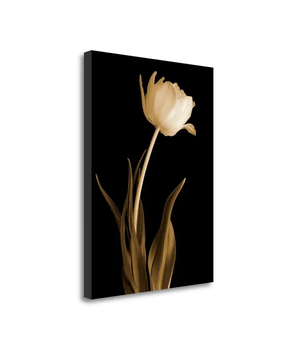 33x22 x 25x22 Classic Beauty by Charles Britt Fine Art Giclee Print