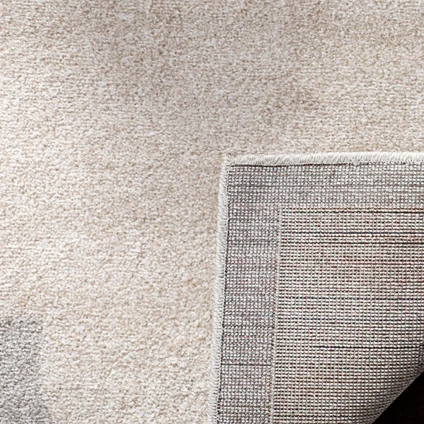 Safavieh Amherst Navy & Beige 4& x 6& Rug