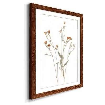 Pressed Botanical I - Print Gracie Oaks Frame Color: Maple, Size: 32x22 H x 23x22 W x 1x22 D