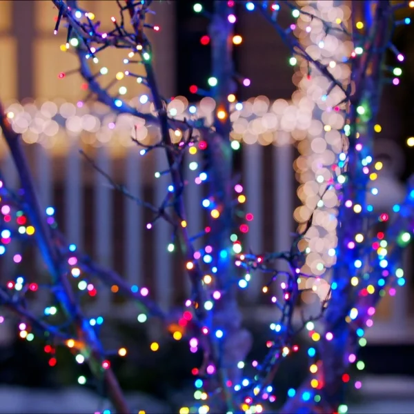 Noma LED Advanced Cluster Christmas Lights - Indoor & Outdoor String Lights with 7 Modes, 1000 Multi-Color Bulbs, 83.75 ft