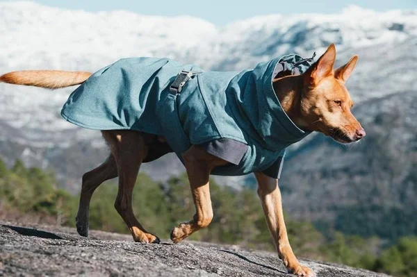 Hurtta Buckthorn Expedition Dog Parka 28in