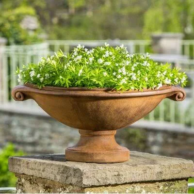 Medici Urn Planter Darby Home Co Color: Brownstone