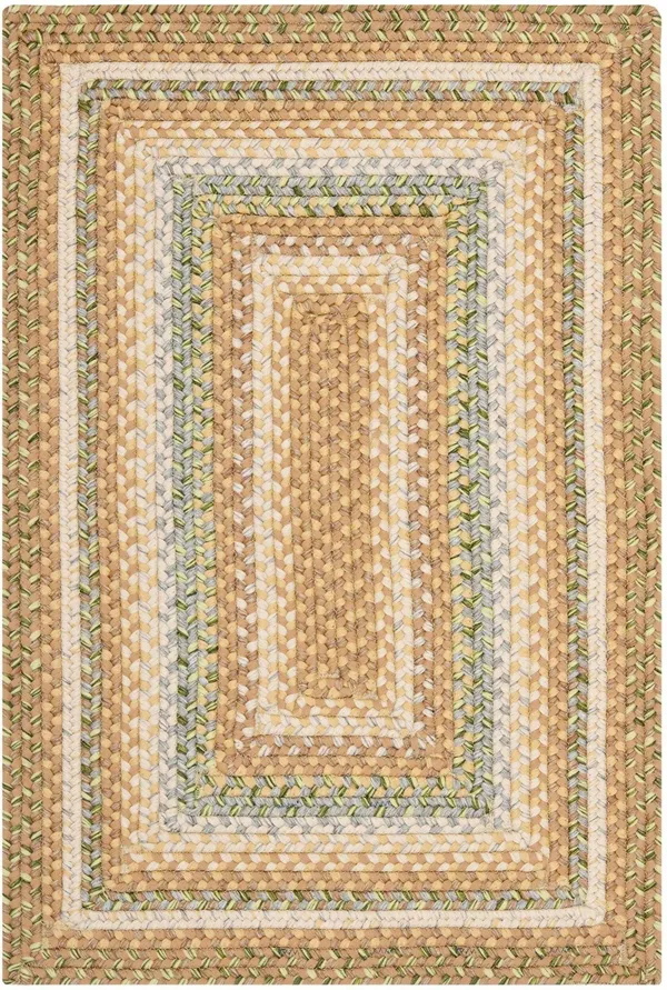 Safavieh Braided Tan/Multi 8 ft. x 8 ft. Round Area Rug