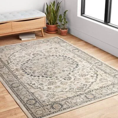 Sagefield Oriental Natural/Gray Area Rug Charlton Home Rug Size: Rectangle 6&7x22 x 9&2x22