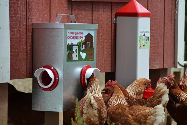25lb Outdoor Rainproof Galvanized Chicken Feeder 20 LITER Capacity
