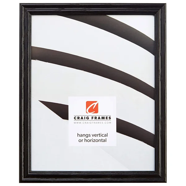 Craig Frames 200ASHBK 22 by 30-Inch Picture Frame, Wood Grain Finish, 0.75-Inch Wide, Black