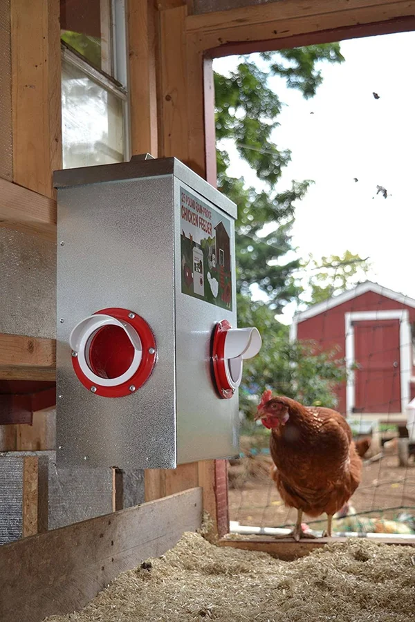 25lb Outdoor Rainproof Galvanized Chicken Feeder 20 LITER Capacity