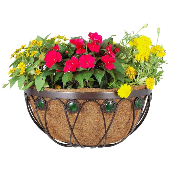 Arcadia Garden Products CB04 Emerald Series Wall Manger
