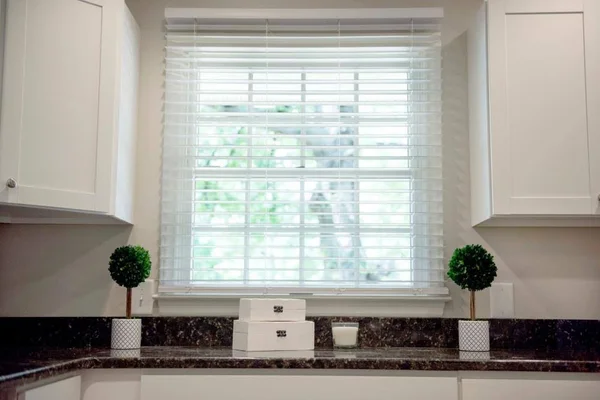 Wave Contour 2-in Slat Width 23.5-in x 64-in Cordless Soft White Faux Wood Room Darkening Full-view Standard Plantation Blinds