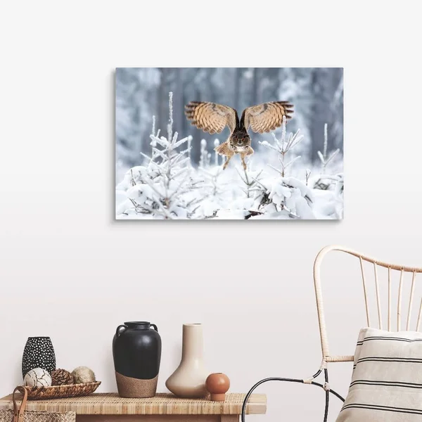 Eurasian Eagle-Owl, Canvas Wall Art, 36x24, Great Big Canvas