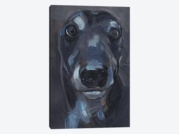 Jennifer Paxton Parker Canvas Prints - Good Boy II ( Animal Art > Dogs art)