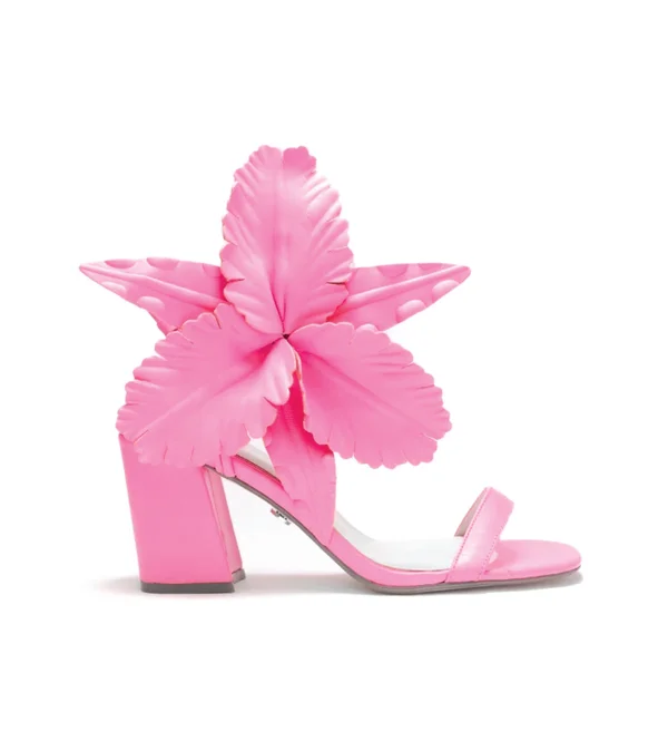 Women's Cecelia New York Hibiscus Sandal, Size 6 M - Pink