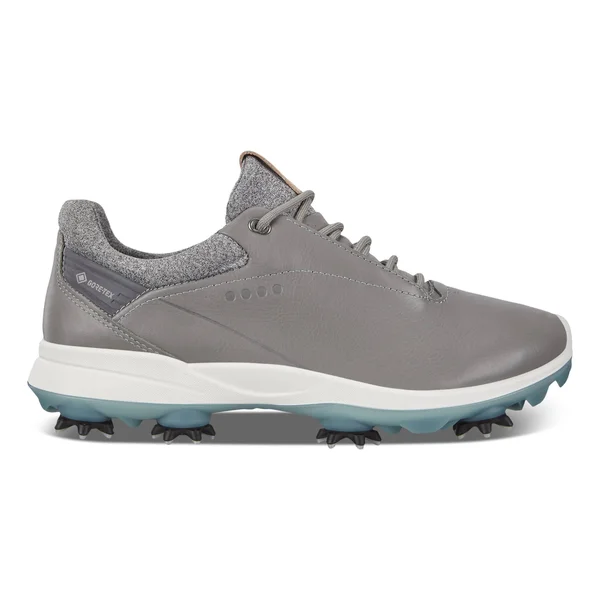 Ecco Golf Biom G 3 (Wild Dove) Women's Golf Shoes