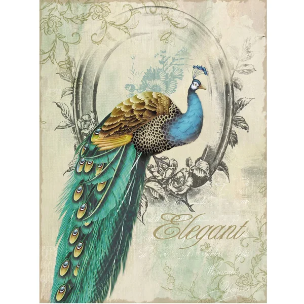 Peacock Poise I - Wall Art, Yosemite Home Decor