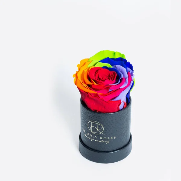 Single Rainbow Everlasting Preserved Rose in Leather Petite Round Shaped Rose Box, Rose Hat Box, Preserved Rose, Forever Roses, E