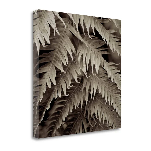 20x22 x 20x22 Florison - 51 by Alan Blaustein Fine Art Giclee Print