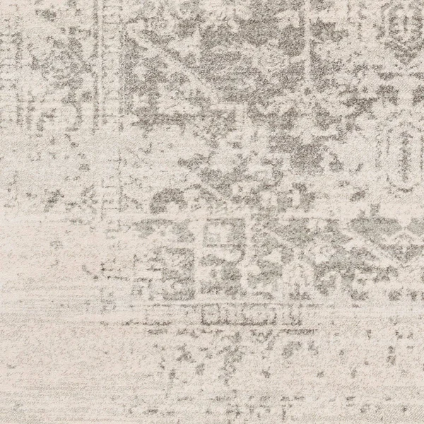2.5' x 10.25' Distressed Beige Rectangular Area Throw Rug Runner
