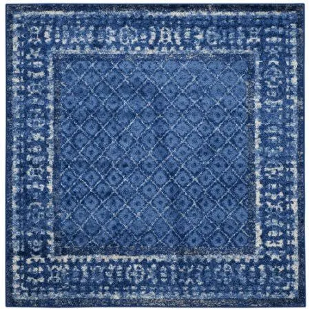 Mistana Eugenia Light Blue/Dark Blue Area Rug; Square 4'