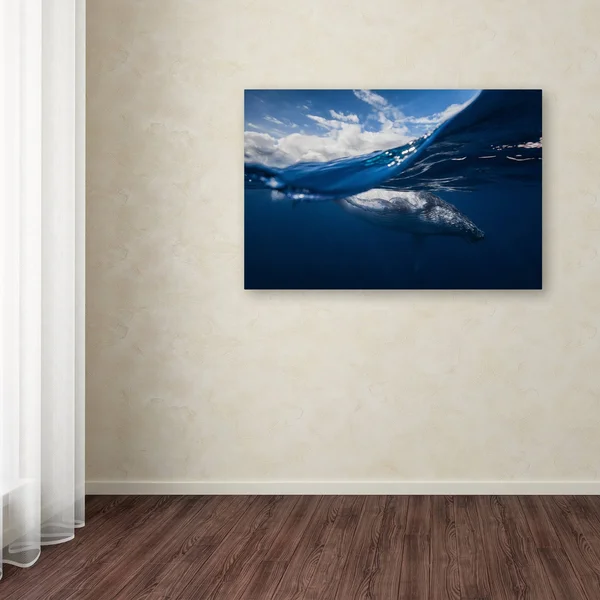Trademark Art Barathieu Gabriel 'Humpback Whale and The Sky' Canvas Art, ShopLadder
