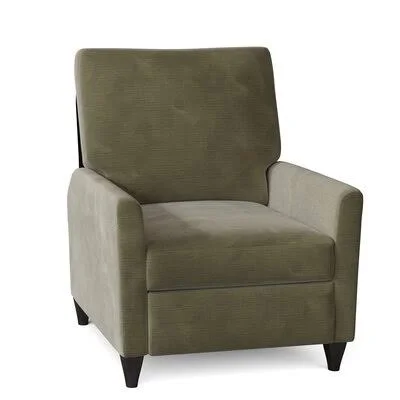 Wayfair Custom Upholstery Harrison 31x22 Wide Sunbrella Manual Standard Recliner Body Fabric: Empire Moss - Leg Color: Gray