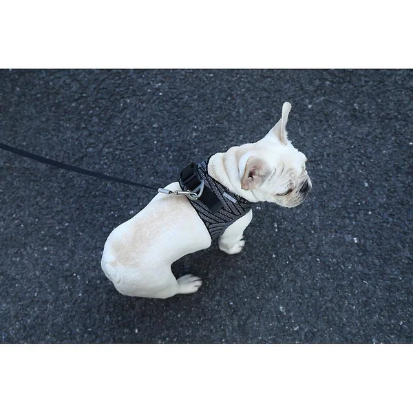 Petkit Air Fly Dog Harness Black S