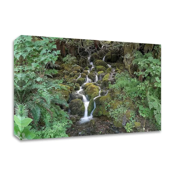 Tangletown Fine Art Fern Waterfall by Lynda White - Print on Canvas, Ready to Hang
