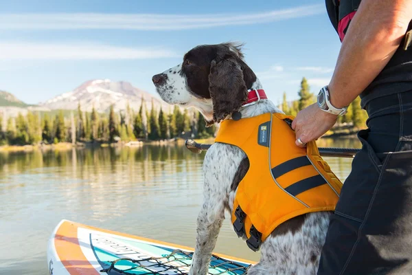 Ruffwear Float Coat, Sockeye Red
