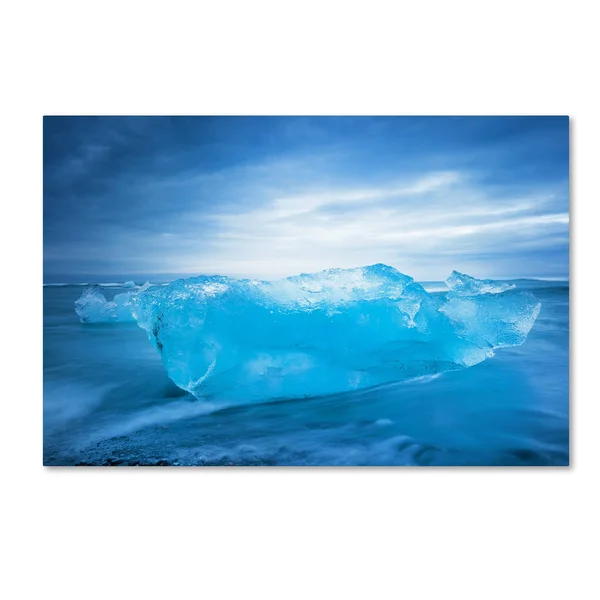 Trademark Fine Art Blue Transparency by Philippe Sainte-Laudy Photographic Print on Wrapped Canvas - Size: 16x22 H x 24x22 W x 2