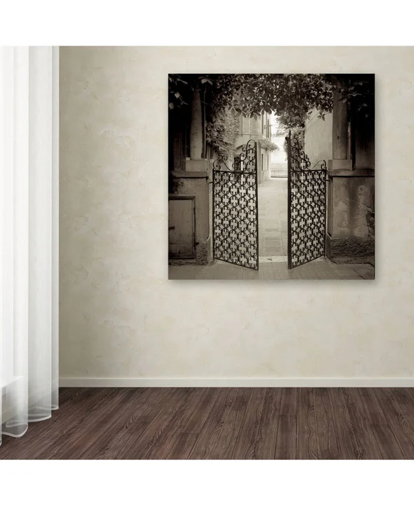 Trademark Art Alan Blaustein 'Venezia V' Canvas Art