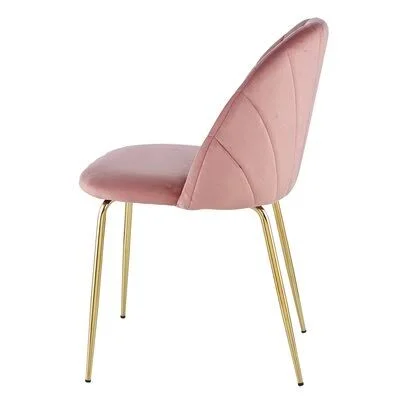 Modern Dining Chair (2 Piece Set) with Iron Tube Golden Legs, Velvet Cushion and Comfortable BACK, Suitable for Dining Room, Liv
